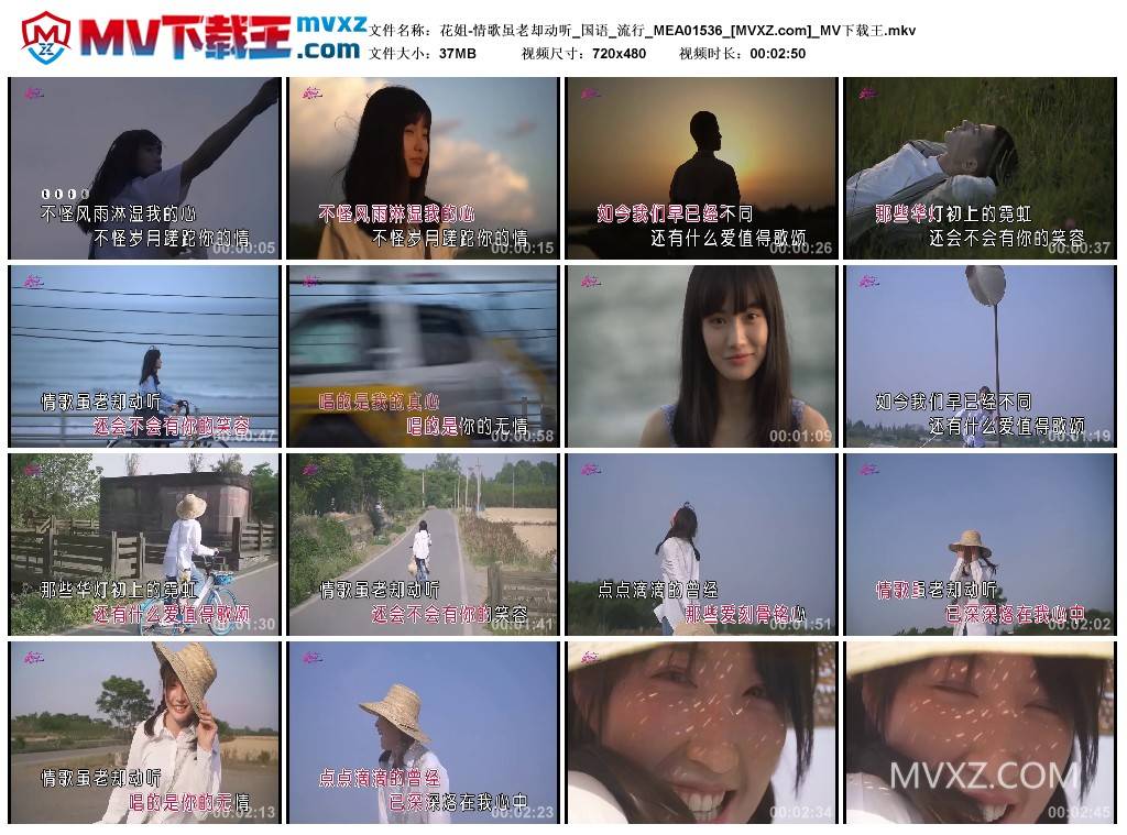 花姐-情歌虽老却动听_国语_流行_MEA01536